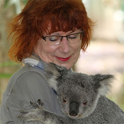 Koala J